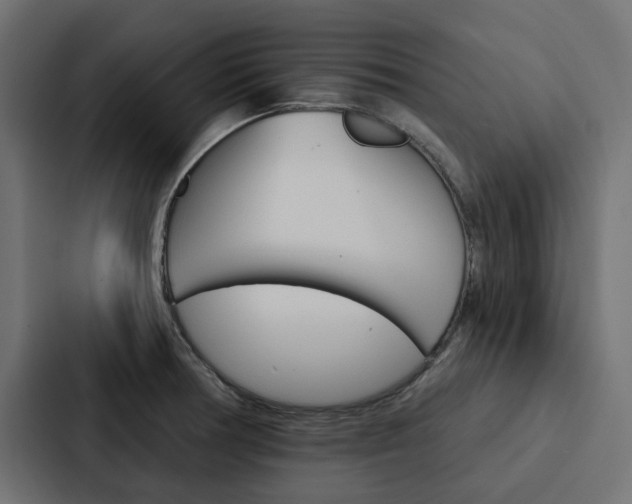 X0000088221378200705151020