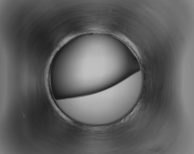 X0000088221381200705151020