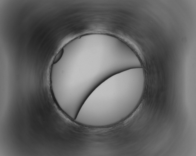 X0000088221382200705151020