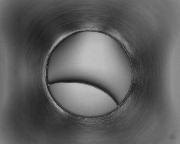 X0000088221383200705151020