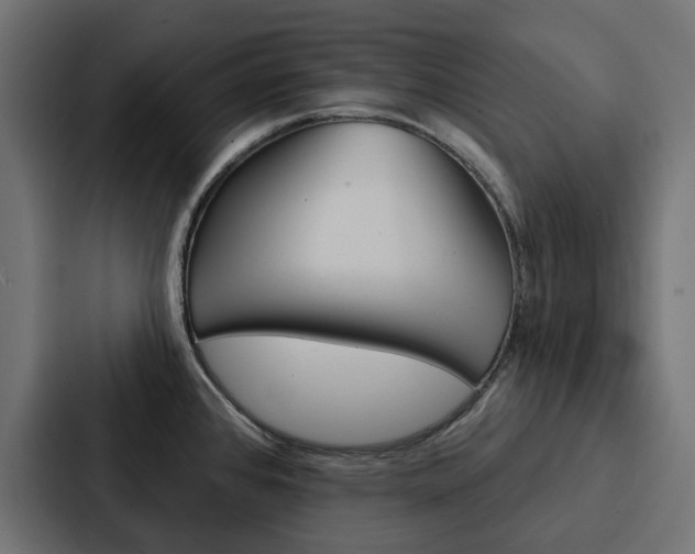 X0000088221384200705151020