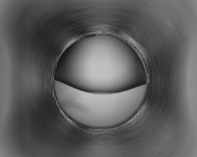 X0000088221385200705151020