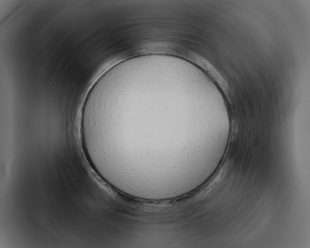 X0000088221386200705151020