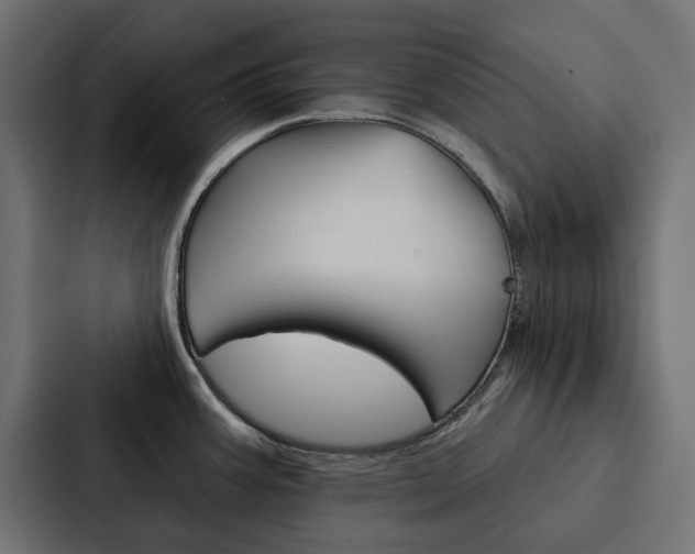 X0000088221387200705151020