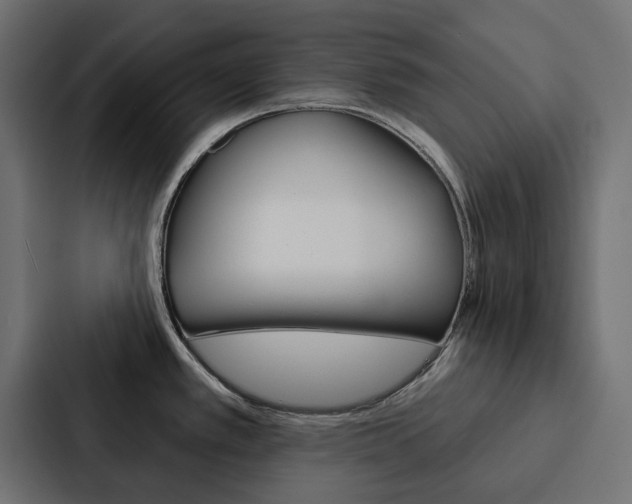 X0000088221389200705151020