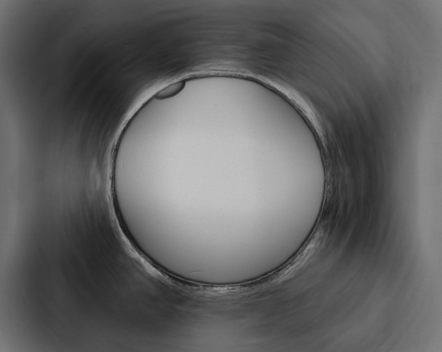 X0000088221390200705151020