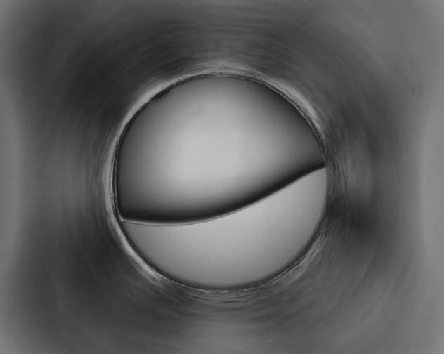X0000088221391200705151020