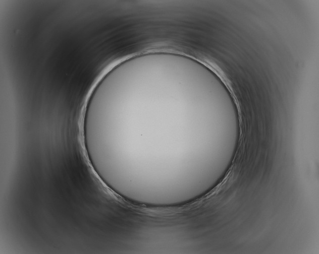 X0000088221392200705151020