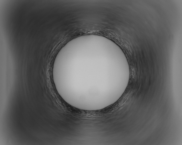 X0000088221393200705151019