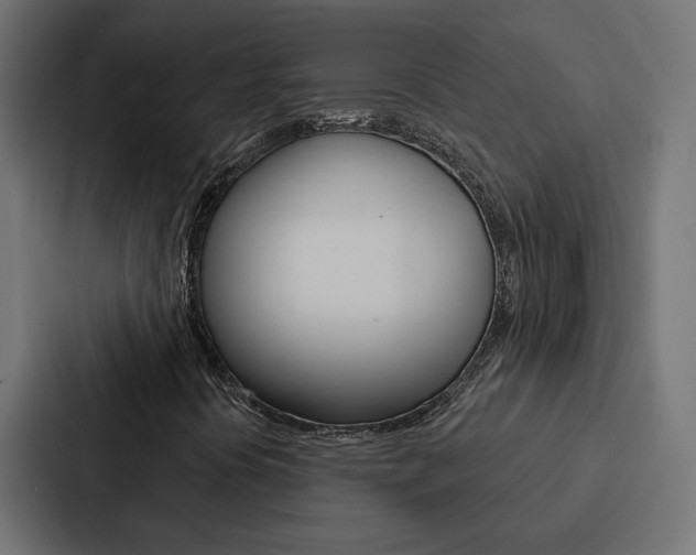 X0000088221394200705151019