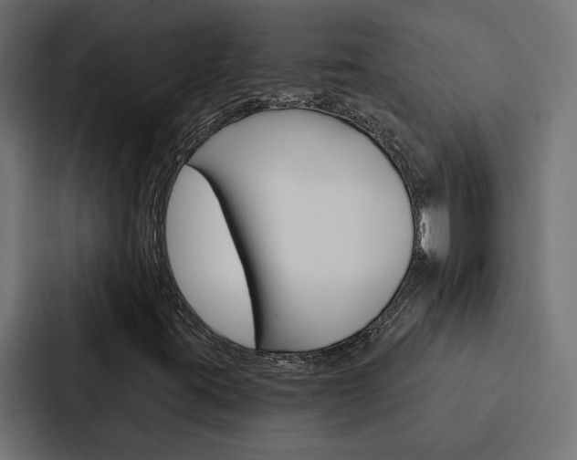 X0000088221395200705151020