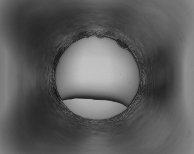 X0000088221397200705151020