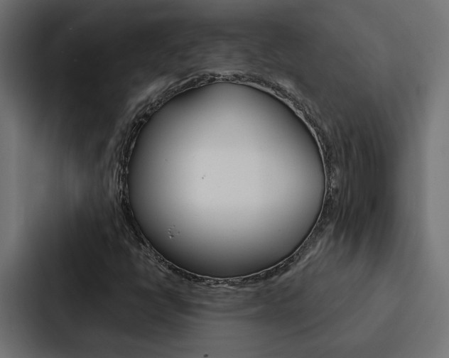 X0000088221398200705151020