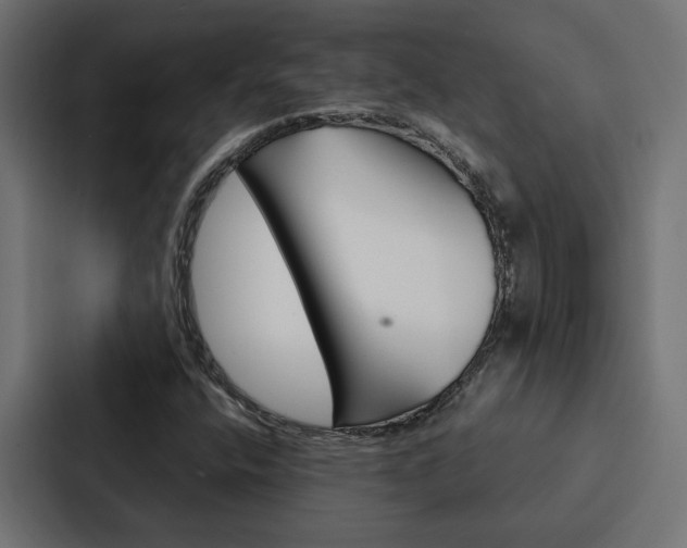 X0000088221400200705151020