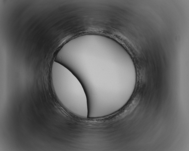 X0000088221401200705151020