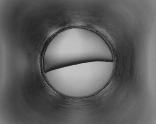X0000088221404200705151020