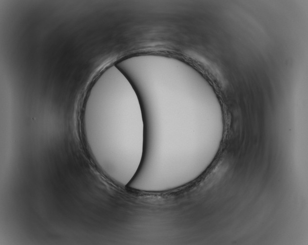 X0000088221405200705151020