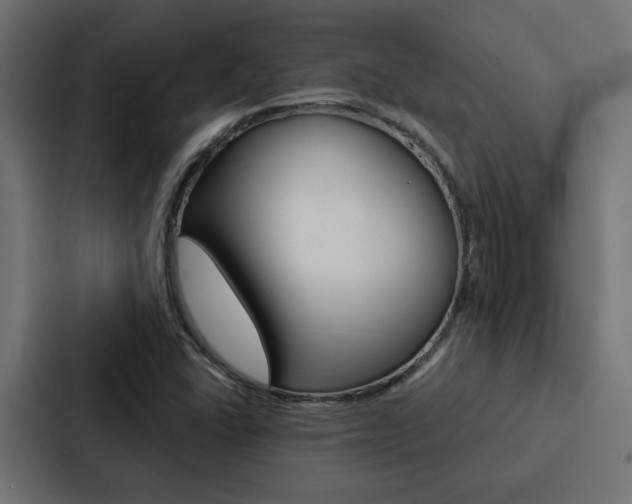 X0000088221406200705151020