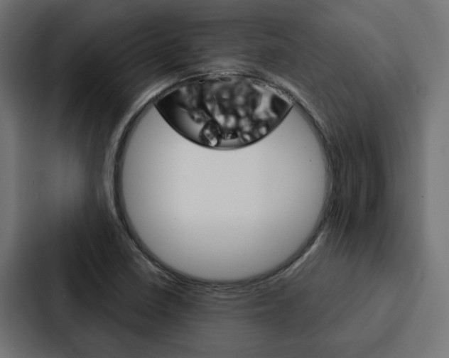 X0000088221410200705151020