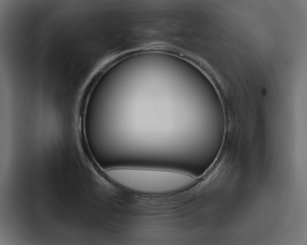 X0000088221414200705151020