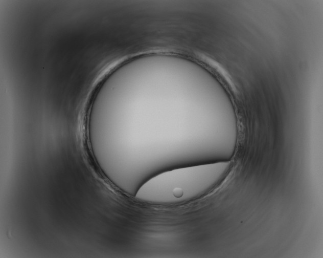 X0000088221415200705151020
