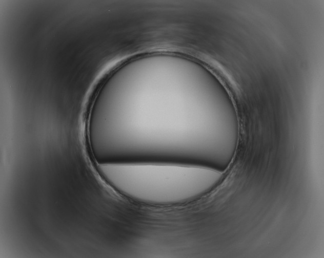 X0000088221416200705151020