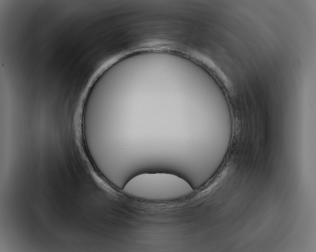 X0000088221421200705151020