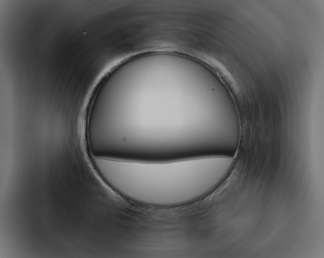 X0000088221424200705151020