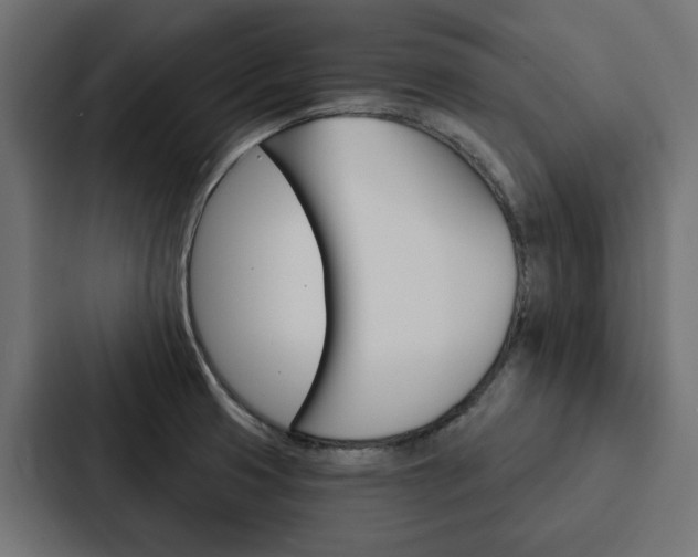 X0000088221425200705151020