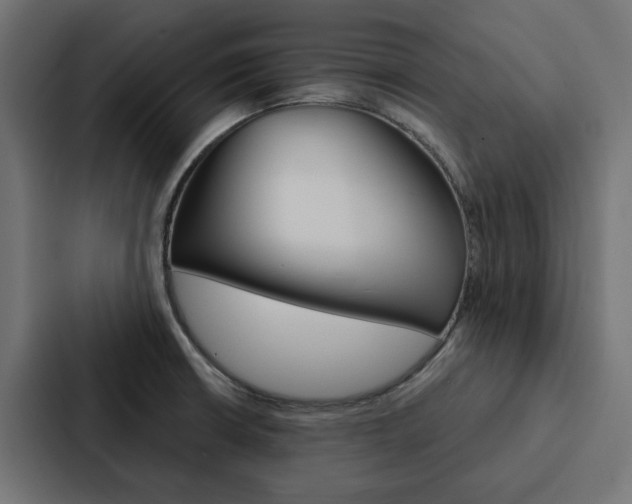 X0000088221426200705151020