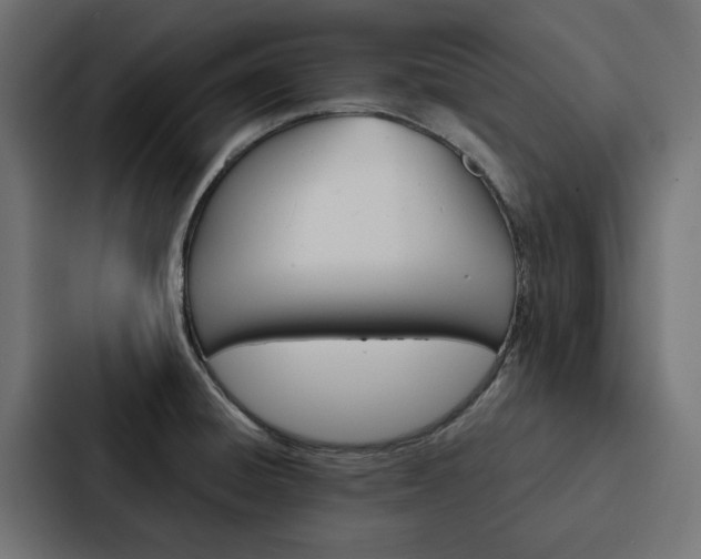 X0000088221428200705151020