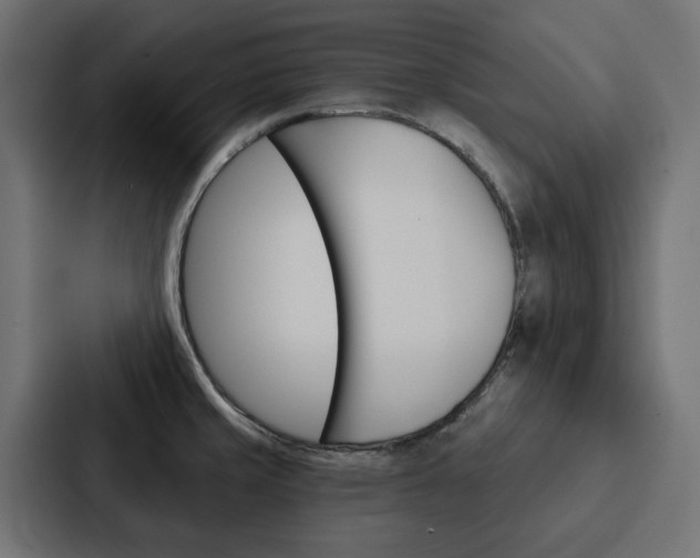 X0000088221429200705151020