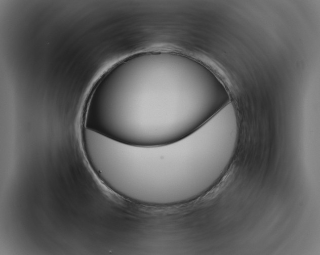 X0000088221430200705151020