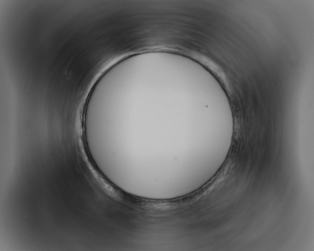 X0000088221431200705151020