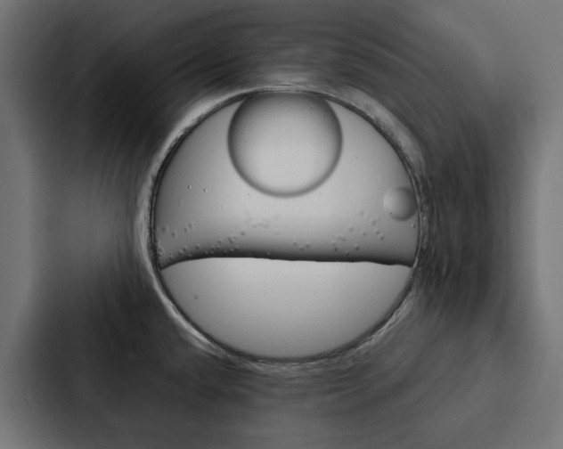 X0000088221432200705151020