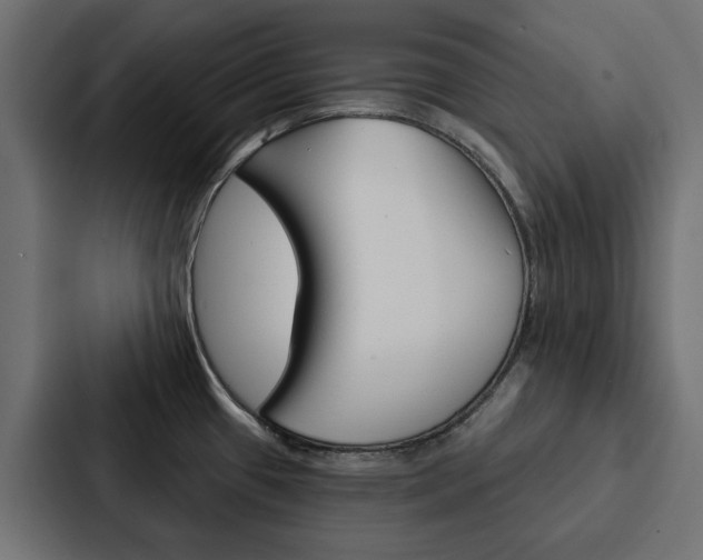 X0000088221433200705151020