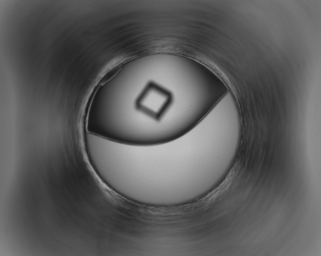 X0000088221434200705151020