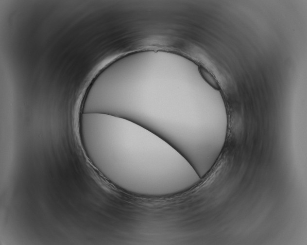 X0000088221435200705151020