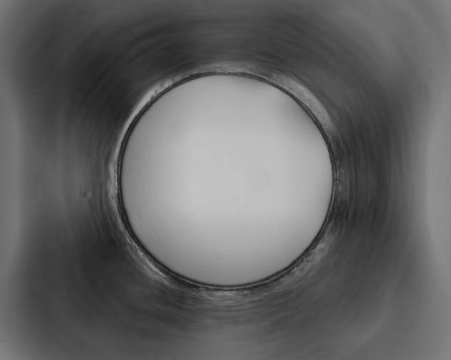 X0000088221436200705151020