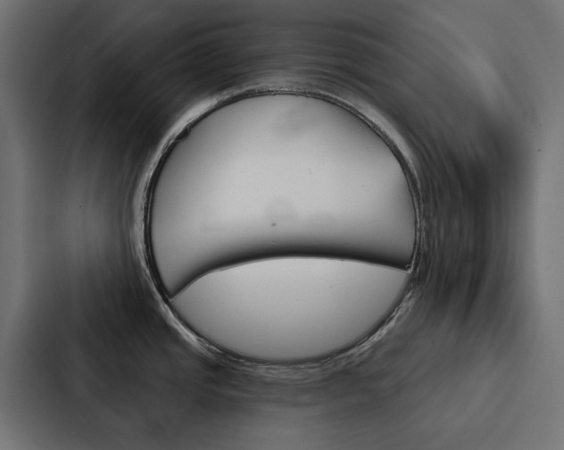 X0000088221437200705151020