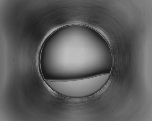 X0000088221438200705151020