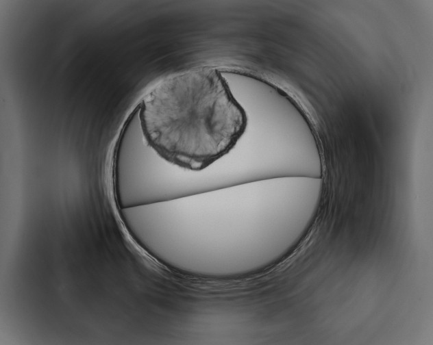 X0000088221439200705151020