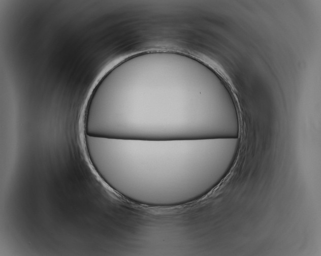 X0000088221440200705151020
