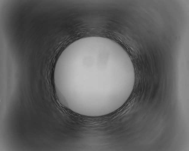 X0000088221441200705151019
