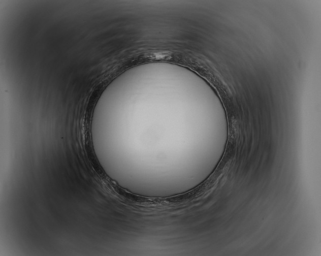 X0000088221442200705151019