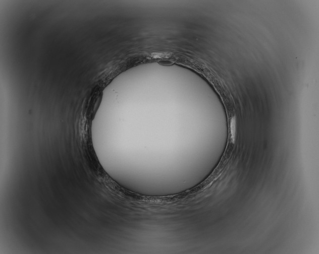 X0000088221443200705151019