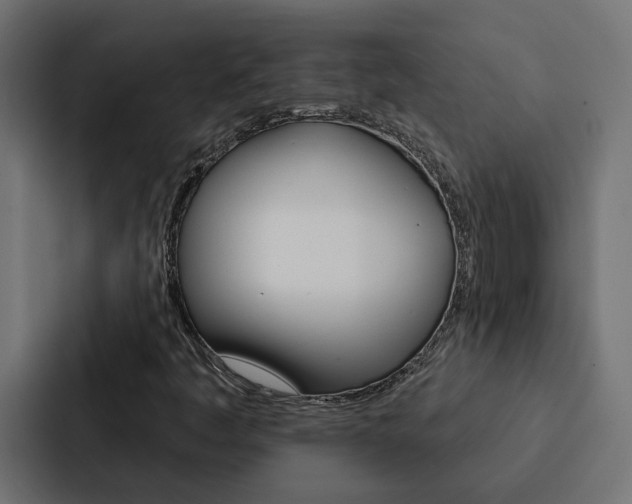 X0000088221445200705151019