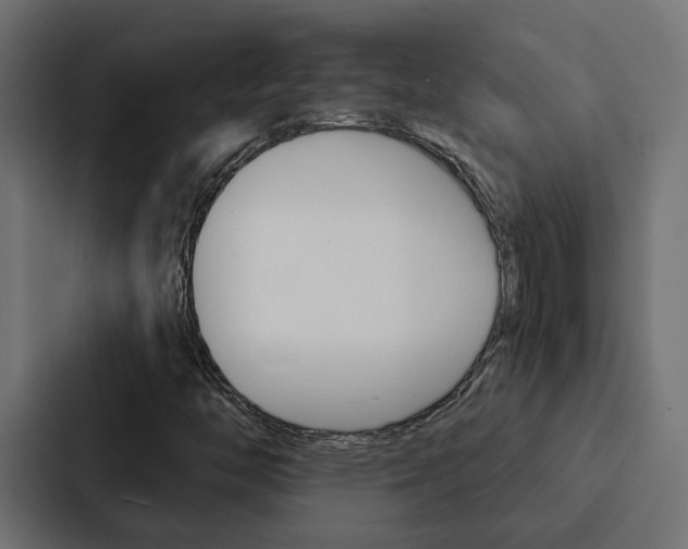 X0000088221446200705151019