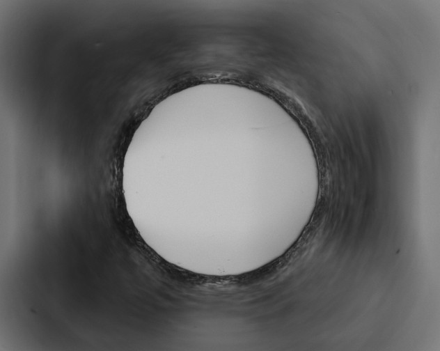 X0000088221447200705151019