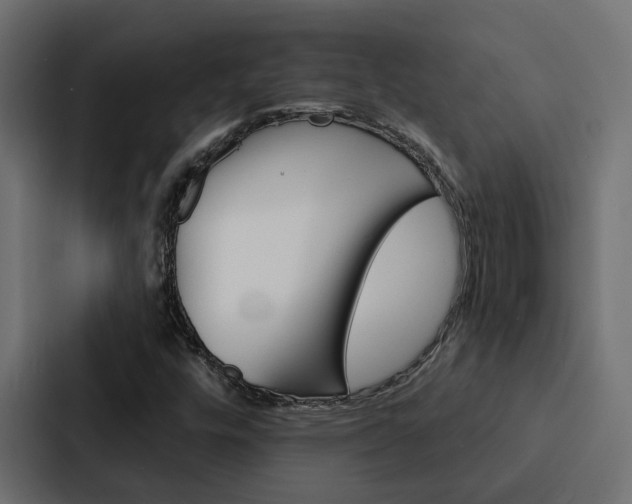 X0000088221448200705151019